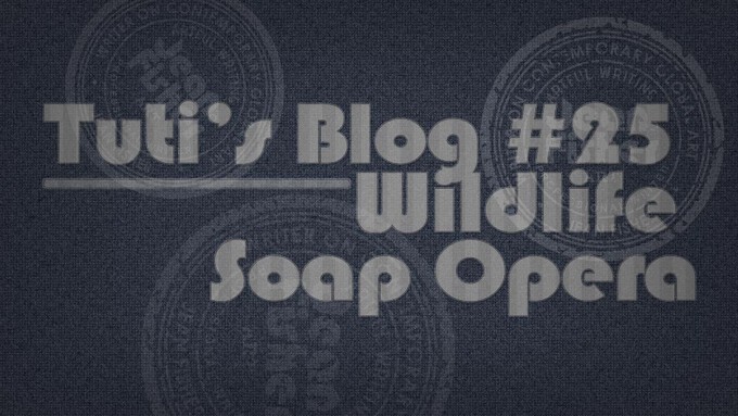 Wildlife soap opera text on a fabric background