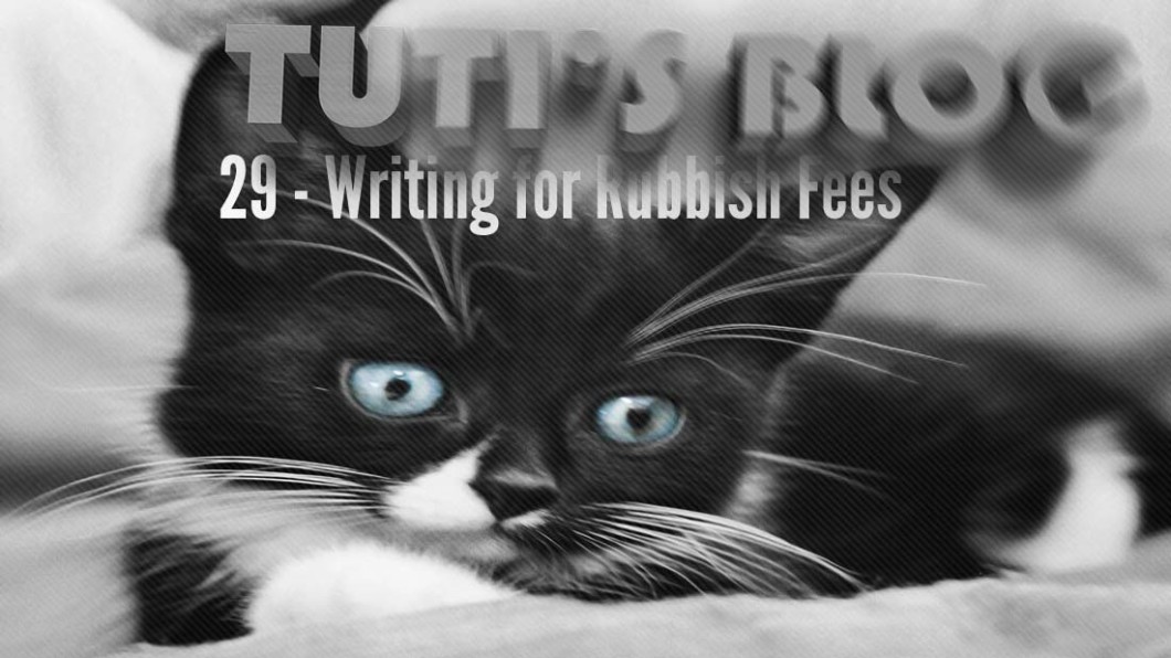 Writing for Rubbish Fees, tuti fruti as a kitten