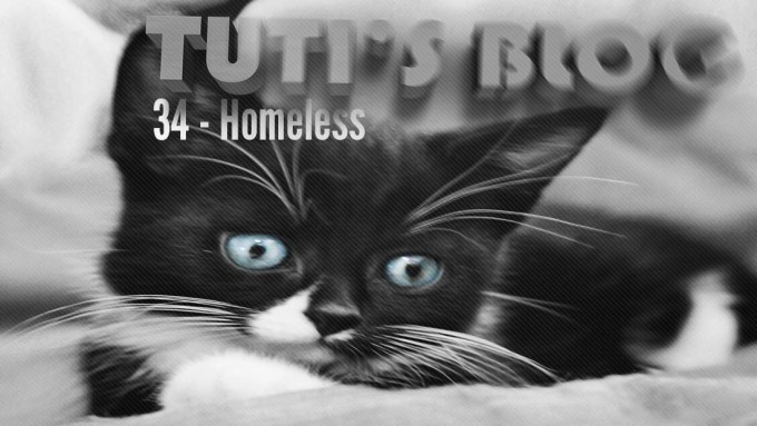 Homeless, tuti fruti as a kitten